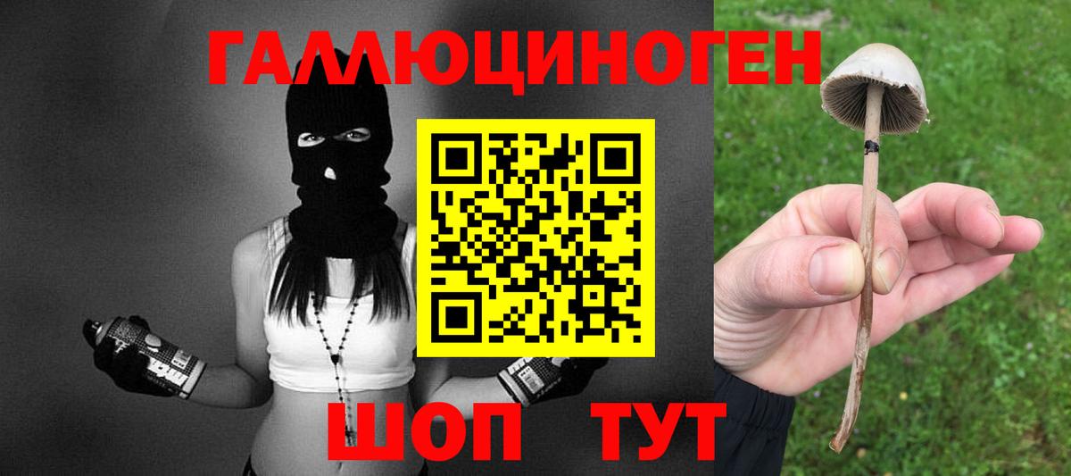 Ахтубинск  наркошоп  Вход с VPN  Галлюциногенные грибы мухоморы 
